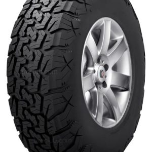 warrior terra ta 698fa6dc05bb2